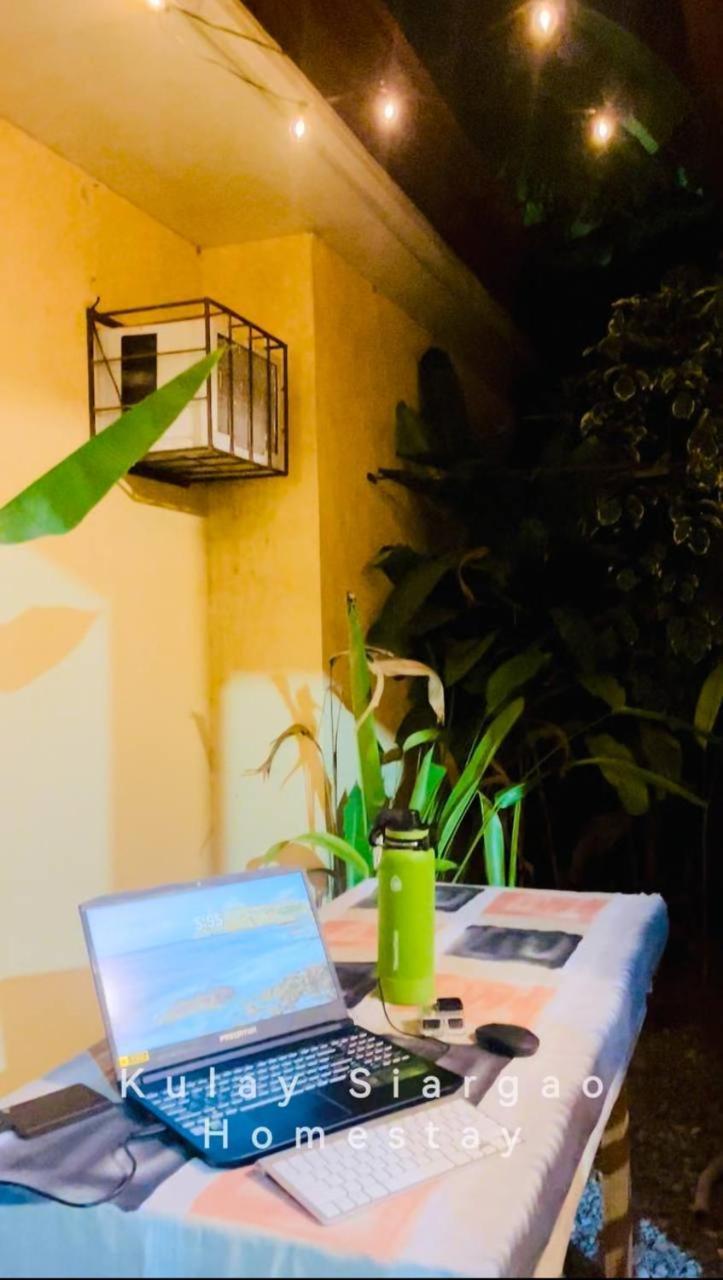 Ameeza Houze Homestay - Siargao General Luna  Eksteriør billede