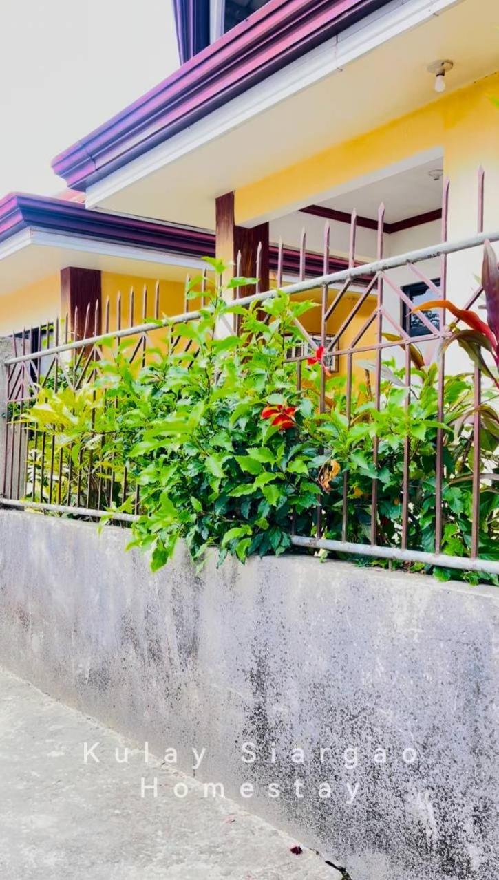 Ameeza Houze Homestay - Siargao General Luna  Eksteriør billede
